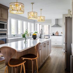 Kitchen Remodeling Karin Ross Designs